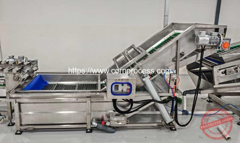Automatic-Head-Cutted-Corn-Cob-Impurity-Washing-Cleaning-Machine